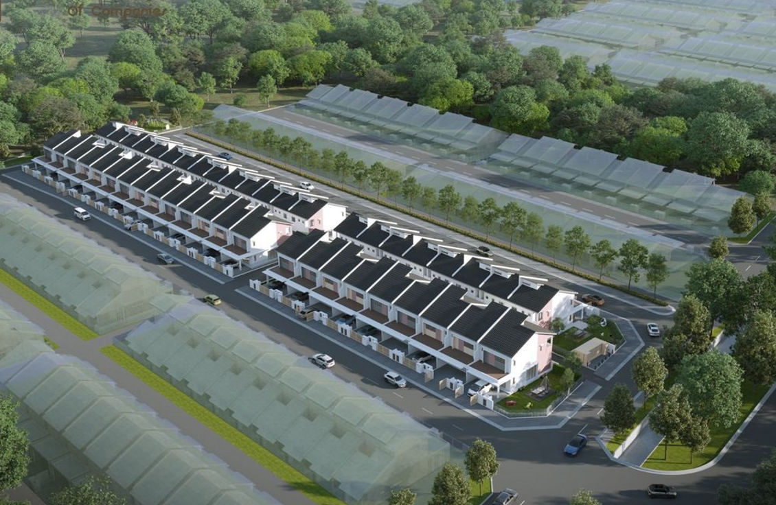 Artist Image 7_imresizer